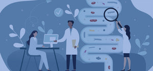 immune support in gut